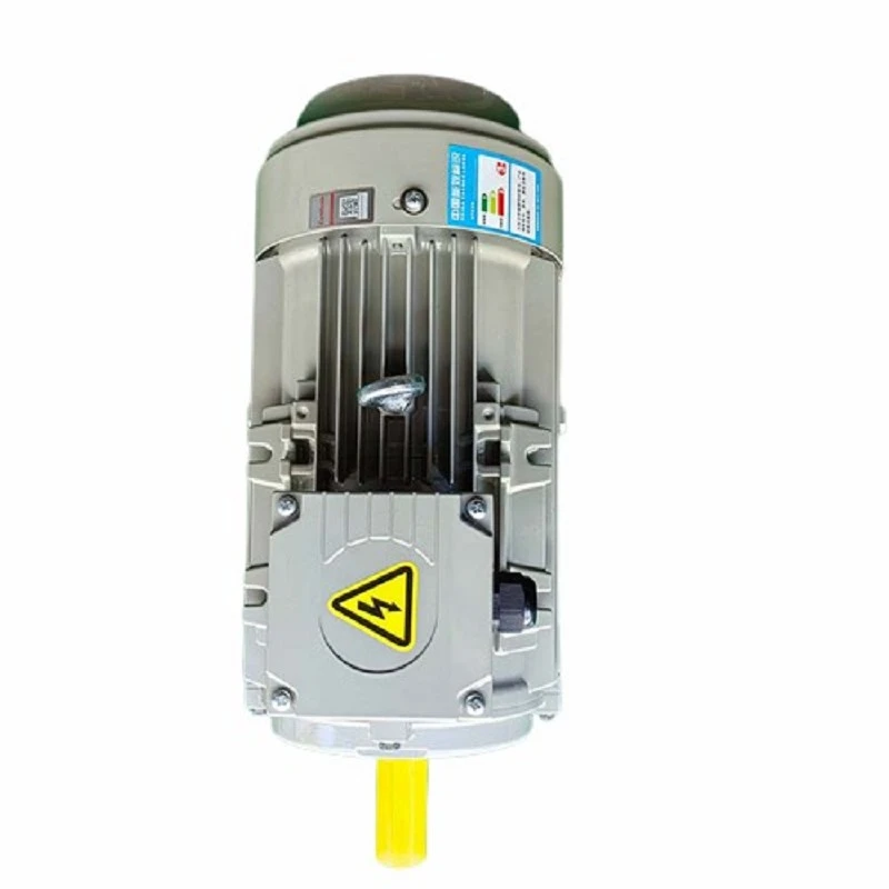 IE4 Induction Motor