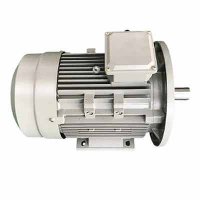 Apakah kelajuan maksimum motor Ie2?